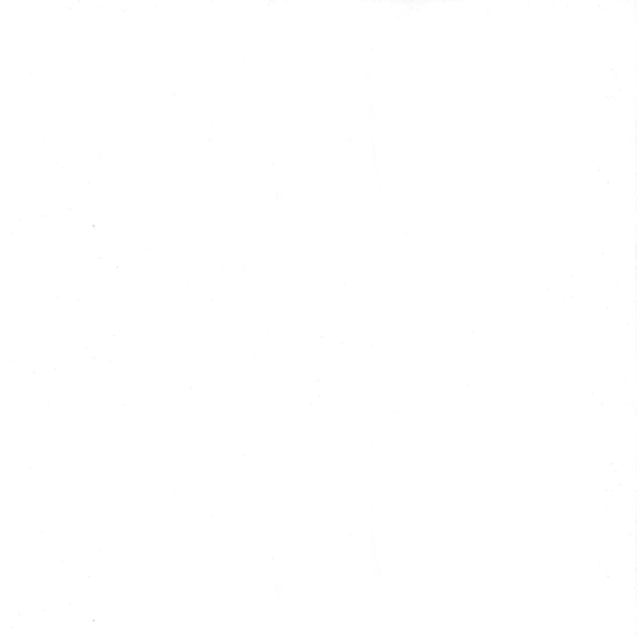 10 yd. Full Bolt: Fabric Traditions Bleached White Muslin Cotton Fabric